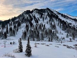 The Snowpine Lodge