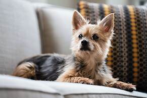 Hyatt House Raleigh North Hills