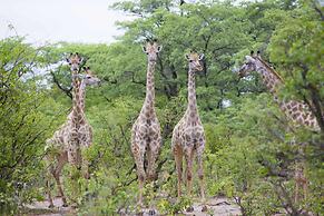 Victoria Falls Safari Lodge