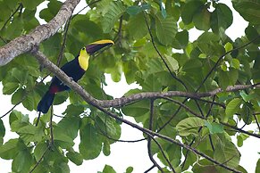 Kura Boutique Hotel Member of the Cayuga Collection