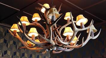 Shakespeare Hotel Surry Hills