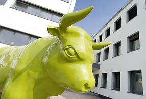 BONNOX Boardinghouse & Hotel