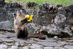 Hotel Mato Grosso Aguas Quentes