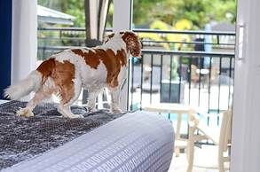 Hollander Boutique Hotel