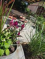 Pension Marlis