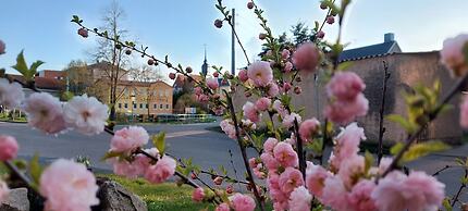 Pension Marlis