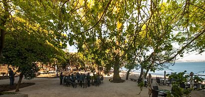 Vila Gale Collection Palacio dos Arcos