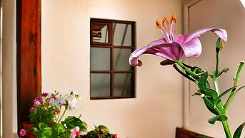 Casa de las Rosas