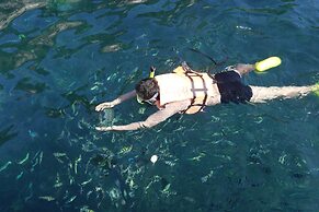 Koh Tao Hillside Resort