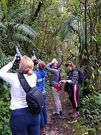 Bellavista Cloud Forest Reserve & Lodge