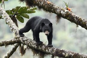 Bellavista Cloud Forest Reserve & Lodge