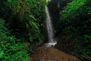 Bellavista Cloud Forest Reserve & Lodge