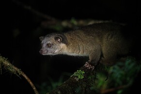 Bellavista Cloud Forest Reserve & Lodge