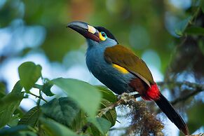 Bellavista Cloud Forest Reserve & Lodge