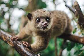 Bellavista Cloud Forest Reserve & Lodge