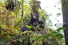 Bellavista Cloud Forest Reserve & Lodge