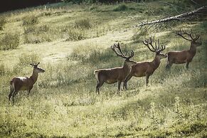 Relais & Châteaux Gut Steinbach Hotel und Chalets