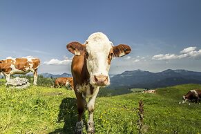 Relais & Châteaux Gut Steinbach Hotel und Chalets