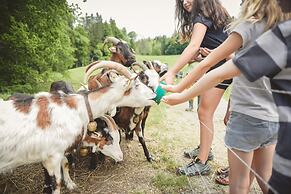 Relais & Châteaux Gut Steinbach Hotel und Chalets