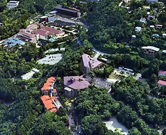 Wisterian Life Club Verde no Mori