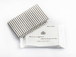 APA Hotel Sapporo Susukino Ekinishi