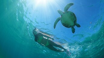 Shigira Bayside Suite Allamanda