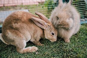 JW Marriott Hotel Hanoi