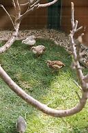 JW Marriott Hotel Hanoi