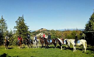 Fattoria Pieve a Salti