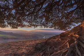 Fattoria Pieve a Salti