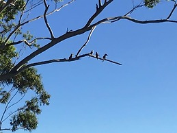 Tamborine Mountain B&B