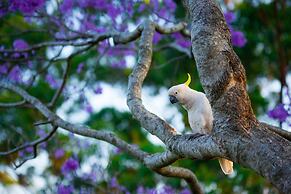 Tamborine Mountain B&B