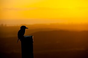 Tamborine Mountain B&B