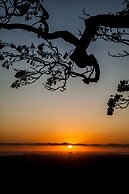 Tamborine Mountain B&B