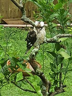 Tamborine Mountain B&B