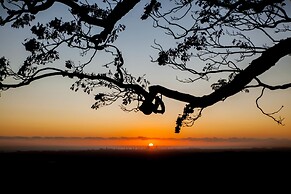 Tamborine Mountain B&B