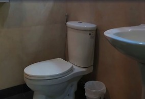 Green Windows Dormitel