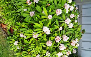 Lilybrook Rangiora Motel