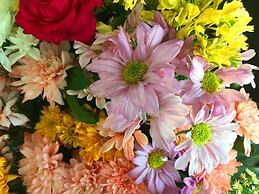 The Front Hotel and Apartment