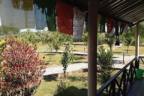 Wildlife Adventure Resort