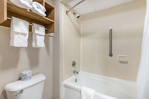 Comfort Inn & Suites Chattanooga-East Ridge