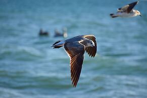 Casey Key Resorts - Beachfront
