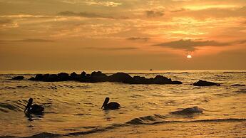 Casey Key Resorts - Beachfront
