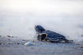 Casey Key Resorts - Beachfront