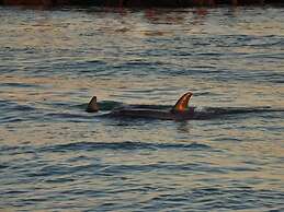 Casey Key Resorts - Beachfront