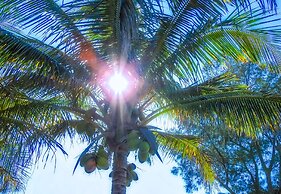 Casey Key Resorts - Beachfront