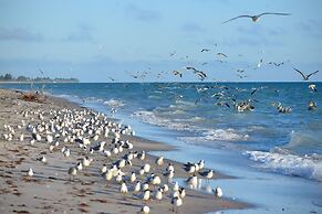 Casey Key Resorts - Beachfront