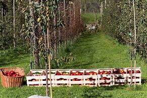 Apart Central – Premium Mountain & Garden