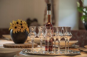 Apart Central – Premium Mountain & Garden