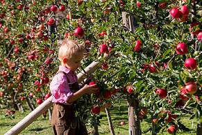 Apart Central – Premium Mountain & Garden